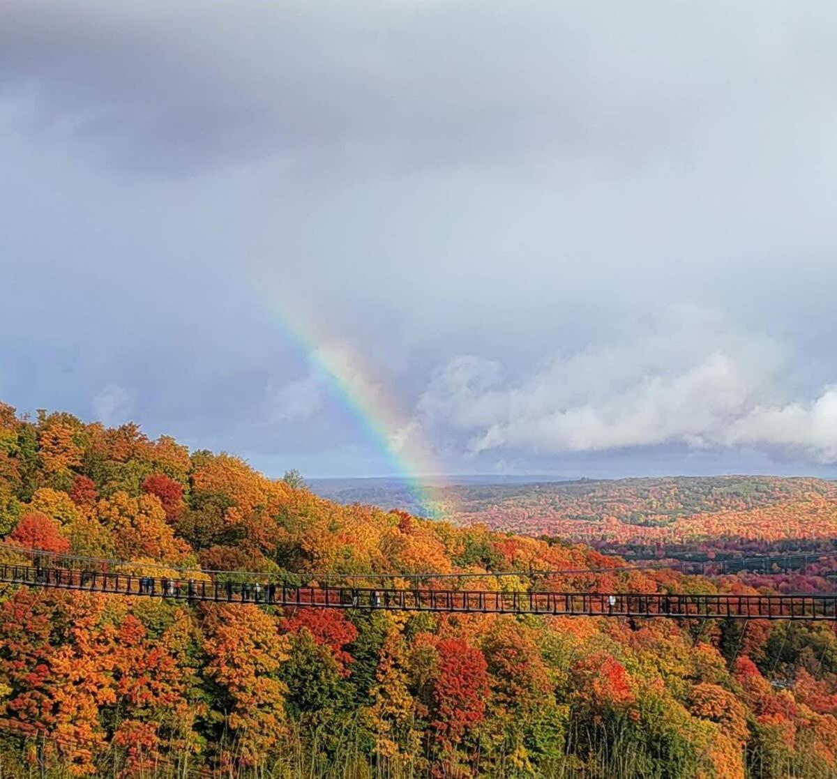 Boyne Mountain Condo -Sleeps 12 Boyne Falls المظهر الخارجي الصورة