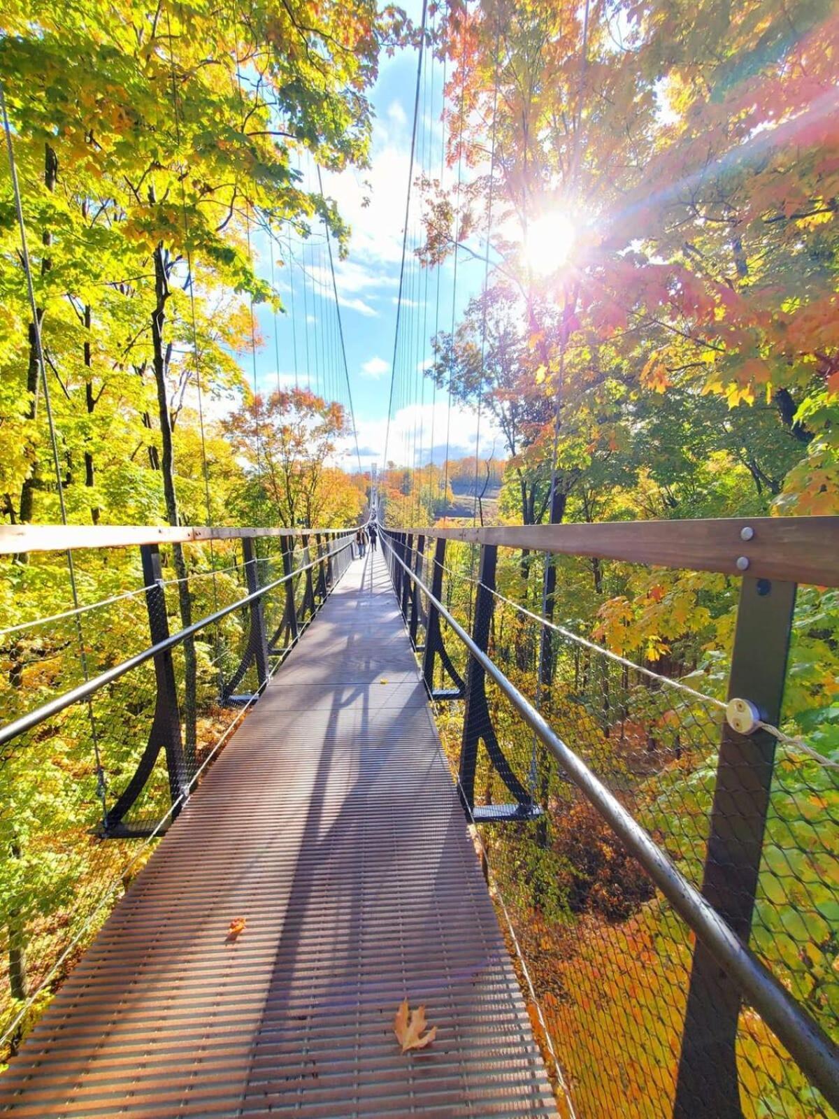 Boyne Mountain Condo -Sleeps 12 Boyne Falls المظهر الخارجي الصورة